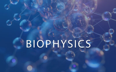 Biophysics Summer School 2025 – Pattern formation and development processes